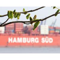 1850_2134 Containerschiff der Reederei Hamburg Süd - junge Kastanienblätter. | 